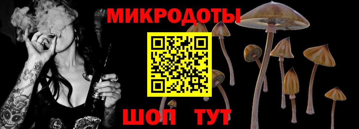 Чусовой  Псилоцибиновые грибы GOLDEN TEACHER  Вход с VPN  Псилоцибиновые грибы MAGIC MUSHROOMS 